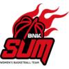 BNK釜山萨姆女篮 BNK釜山萨姆女篮