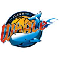 四川丰谷酒业 四川丰谷酒业